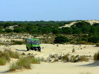 Visita a Doñana