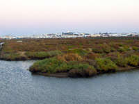 Ruta senderismo Salina Santa Mª Jesus